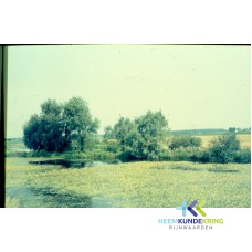 Natuur Oude Rijn Coll. G.B. Janssen (4)